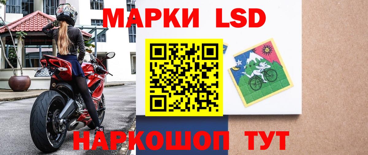 Губкин  Марки N-bome 1,8мг  Вход с VPN 